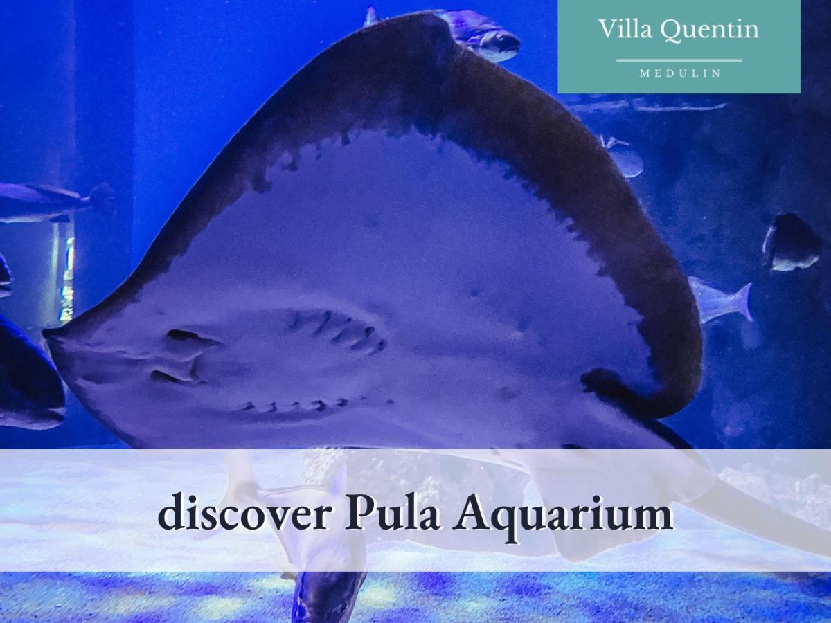 Villa Quentin - Quiet Place Close To Beach Medulin Ngoại thất bức ảnh
